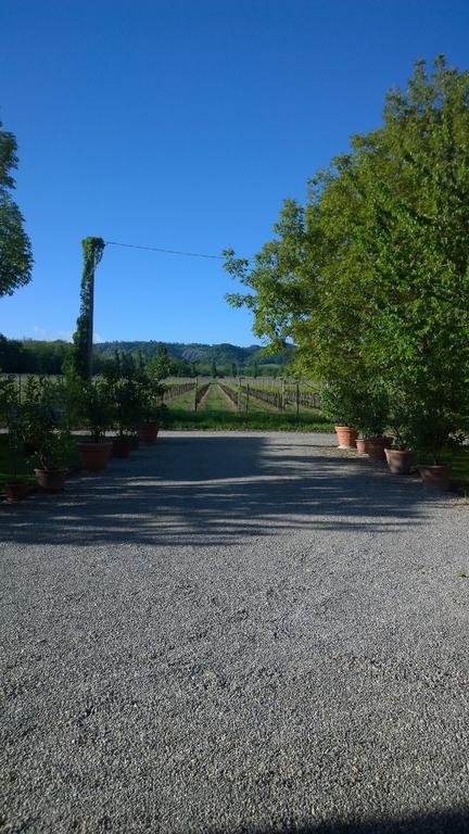 La Vigna Dei Peri Villa Quattro Castella Exterior foto